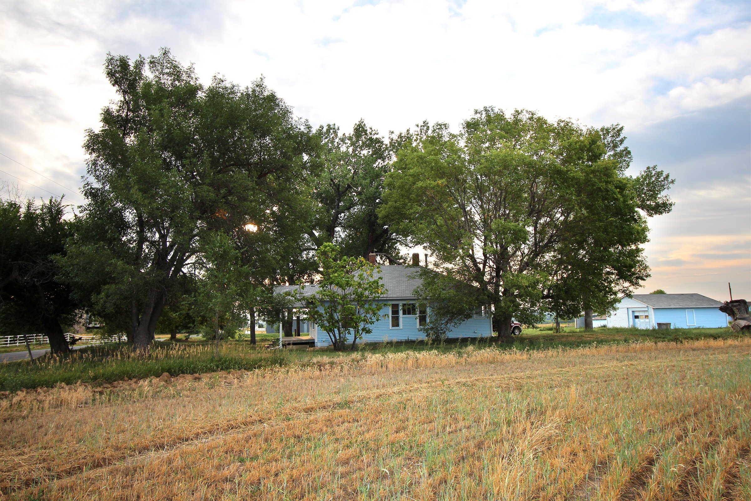 Property photo 13 - LAND & WATER RIGHTS AUCTION - 33+/- ACRES & 67 WATER UNITS/SHARES IN 26 TRACTS IN BOULDER COUNTY, CO